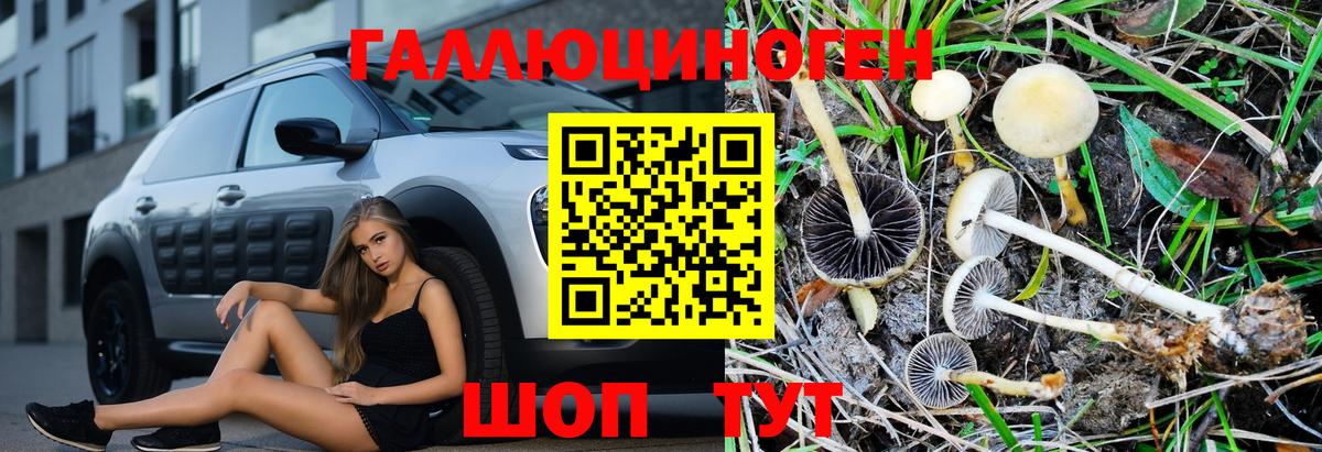 Полевской  Галлюциногенные грибы Psilocybine cubensis  Вход с VPN 