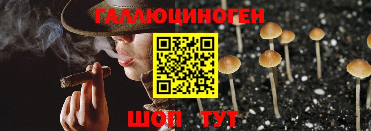 Галлюциногенные грибы MAGIC MUSHROOMS Полевской